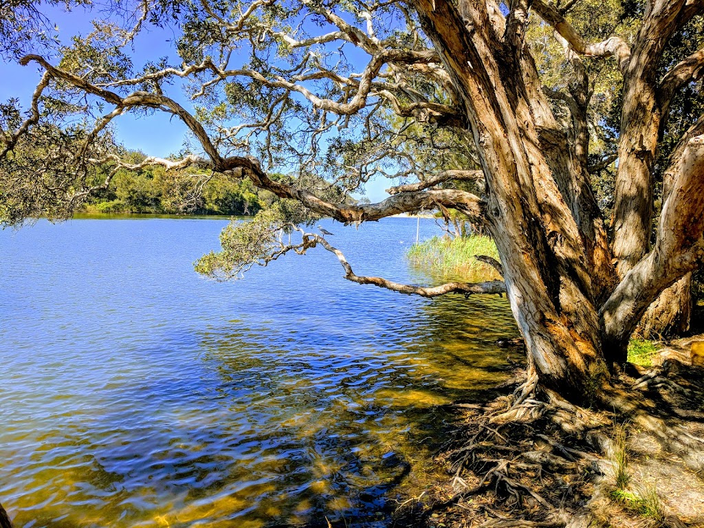 Wamberal Lagoon Nature Reserve | park | Wamberal NSW 2260, Australia | 0243204200 OR +61 2 4320 4200