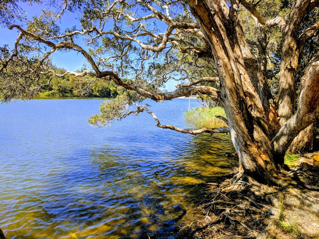 Wamberal Lagoon Nature Reserve | Wamberal NSW 2260, Australia | Phone: (02) 4320 4200