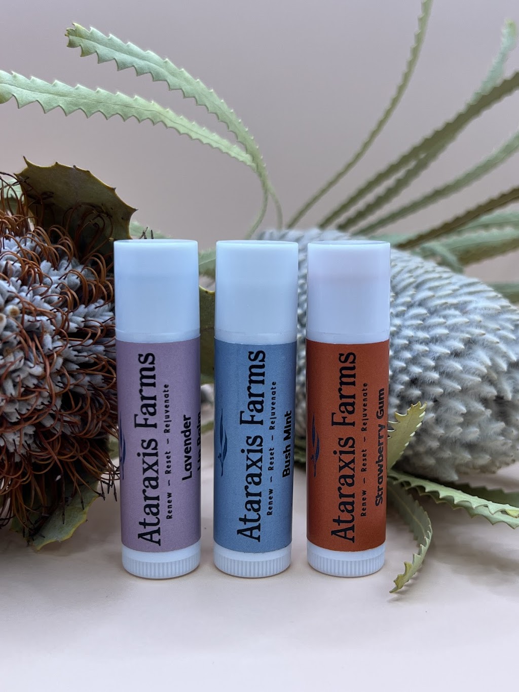 Ataraxis Farms | 825 Collins Creek Rd, Kygole NSW 2474, Australia | Phone: 0431 087 733