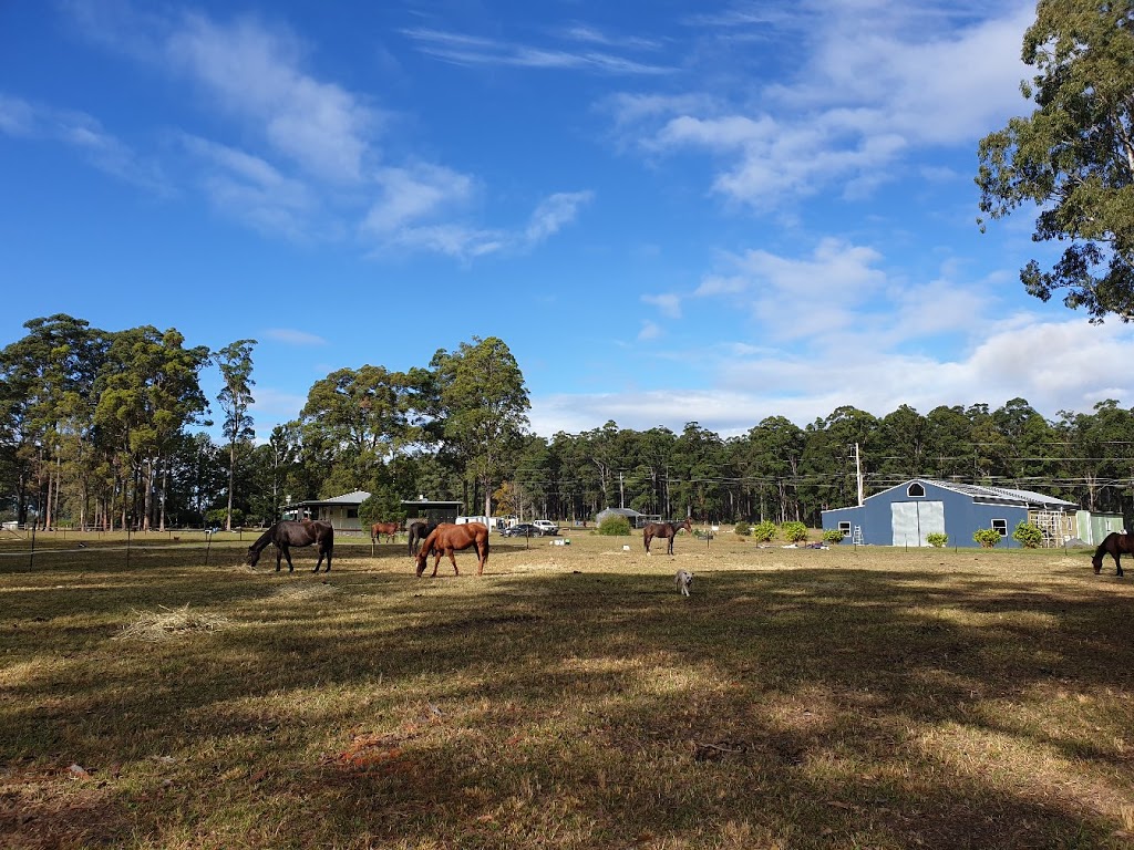 Abbotsford Park | 14 Cemetery Rd, Glenreagh NSW 2450, Australia | Phone: 0421 854 354