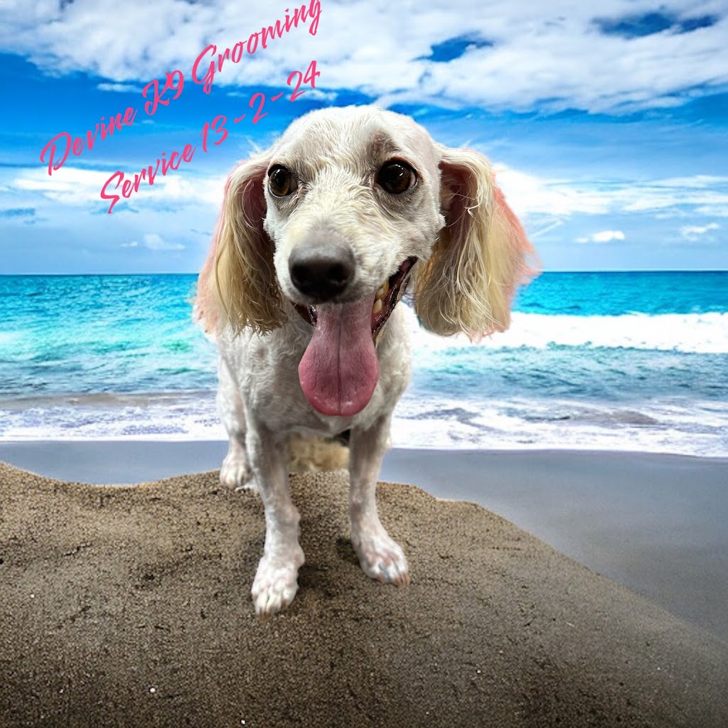 Devine K9 Grooming Service | 22 Crawford Ave, Tenambit NSW 2323, Australia | Phone: 0408 166 002