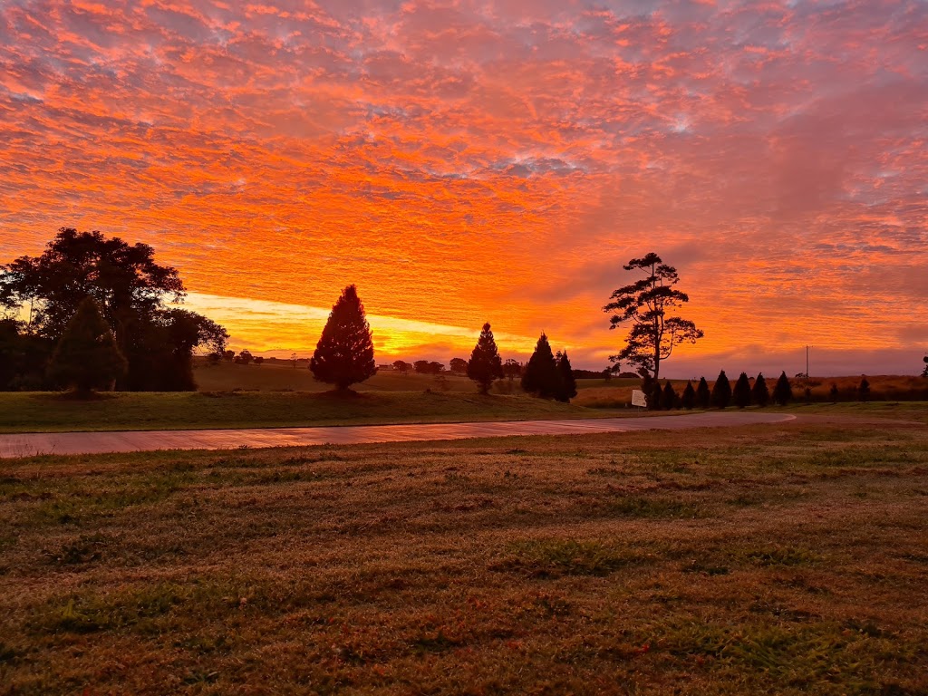 Atherton Christmas Tree Farm |  | 9658 Kennedy Hwy, Upper Barron QLD 4883, Australia | 0407160792 OR +61 407 160 792