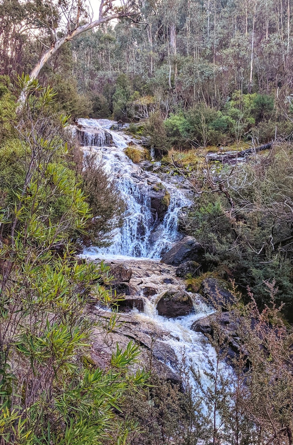 Sawpit Creek Waterfall | park | Waterfall Walk, Kosciuszko National Park NSW 2627, Australia