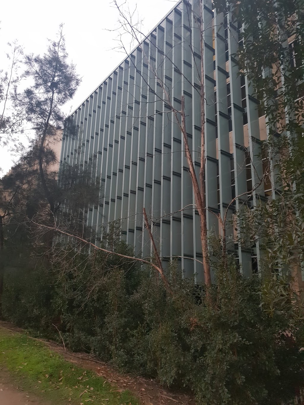 Australian Institute for Bioengineering and Nanotechnology - AIB | university | Building 75,Cnr College Rd & Cooper Rd, Brisbane City QLD 4072, Australia | 0733463877 OR +61 7 3346 3877