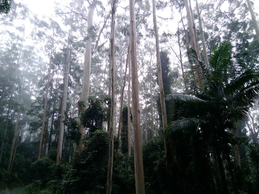 Yabbra National Park | Yabbra NSW 2469, Australia