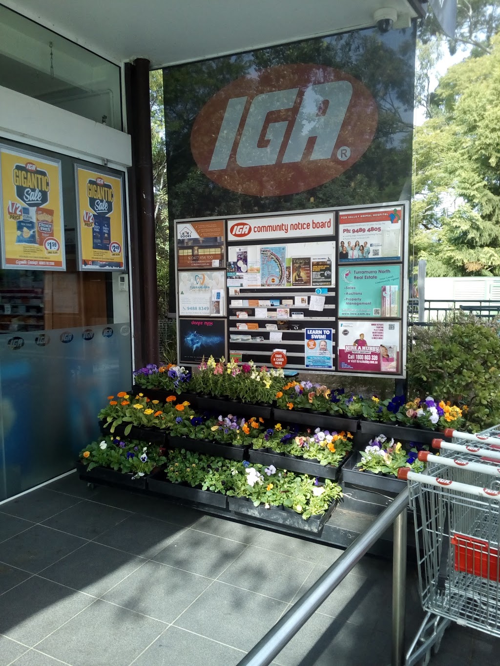 IGA Bobbin Head | supermarket | 245 Bobbin Head Rd, North Turramurra NSW 2074, Australia | 0291443500 OR +61 2 9144 3500