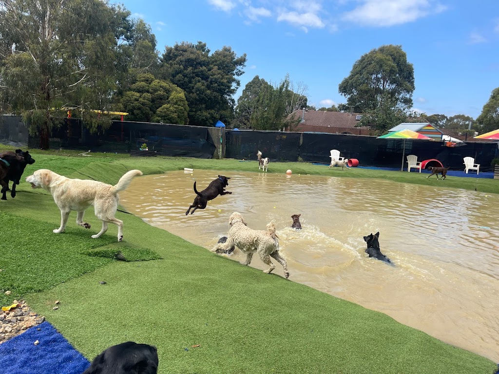 That Dog Place | 580 Bells Rd, Smythes Creek VIC 3351, Australia | Phone: 0407 334 136