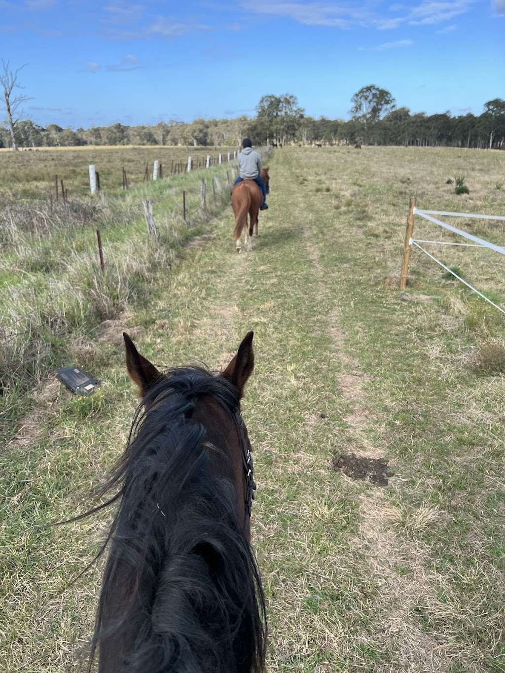 Braemoor Equestrian | 95 Great Southern Rd, Bargo NSW 2574, Australia | Phone: 0488 550 223