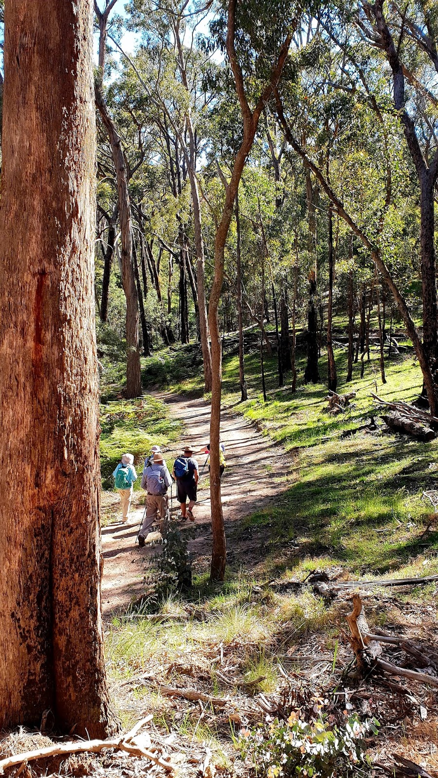 Lifes An Adventure | 4/23 Narabang Way, Belrose NSW 2085, Australia | Phone: (02) 9975 4553