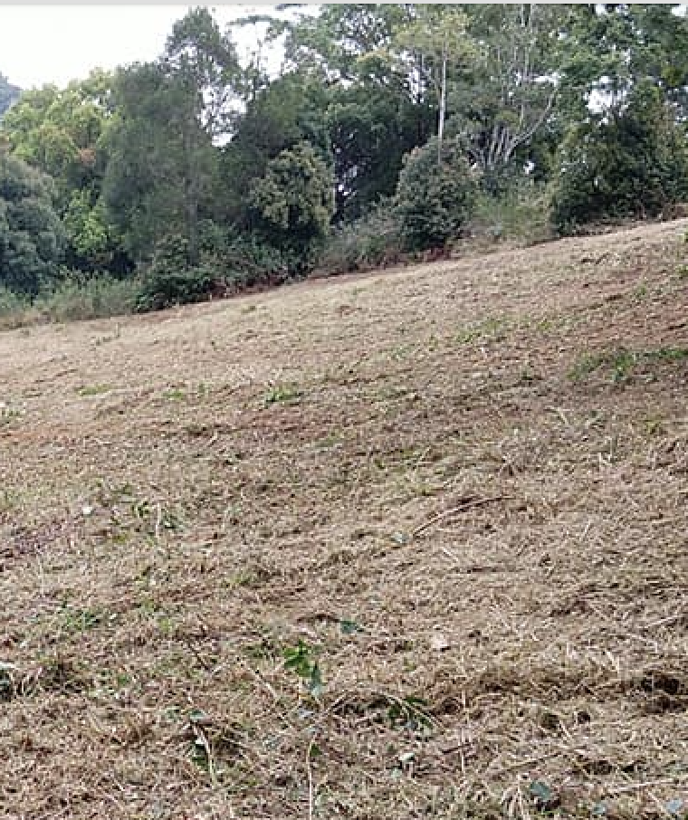 Ace Clearing & Mulching | 146 Heron Rd, Old Bar NSW 2430, Australia | Phone: 0416 090 654