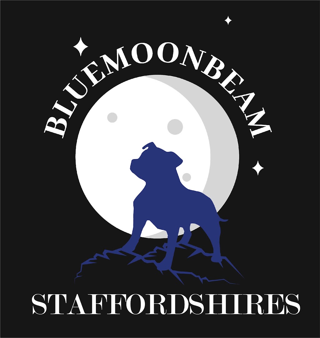 Bluemoonbeam Staffordshires | Black Springs Rd, St Fillans NSW 2850, Australia | Phone: 0410 309 380