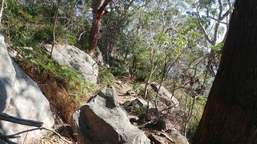 Gore Creek Reserve Bush Trail | gym | 9 Ford St, Greenwich NSW 2065, Australia