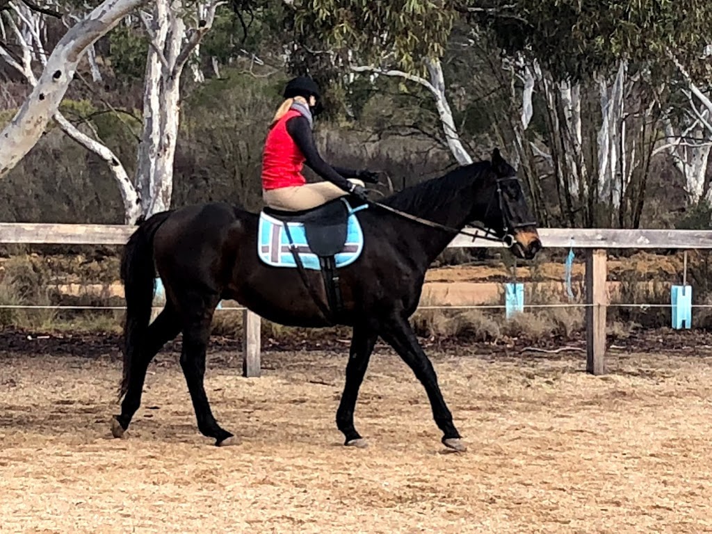 The Saddle Camp | cafe | 1040 Bombay Rd, Braidwood NSW 2622, Australia | 0417456093 OR +61 417 456 093