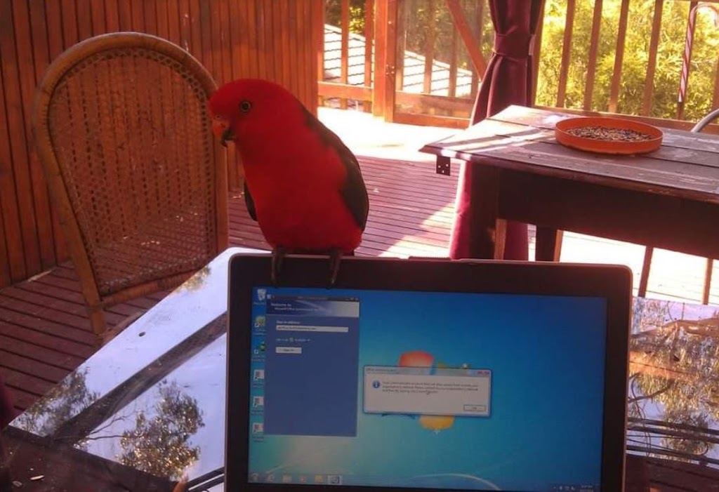 Vettr | 9/204 Alice St, Brisbane City QLD 4000, Australia | Phone: 1300 847 838