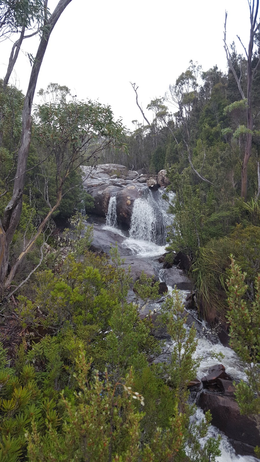 Hartz Mountains National Park | Raminea TAS 7001, Australia | Phone: (03) 6264 8460