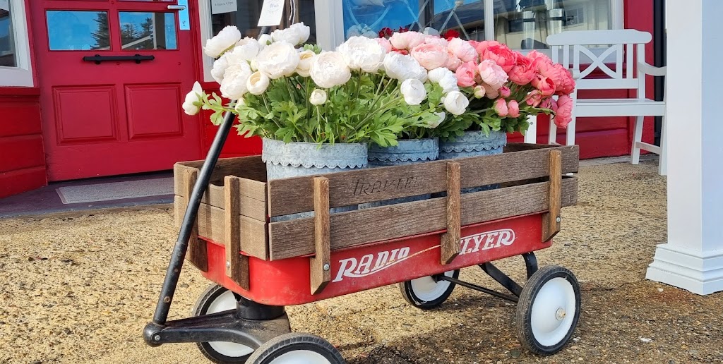 The Red Door On Cameron | home goods store | 28 Cameron St, Wauchope NSW 2446, Australia | 0265852321 OR +61 2 6585 2321