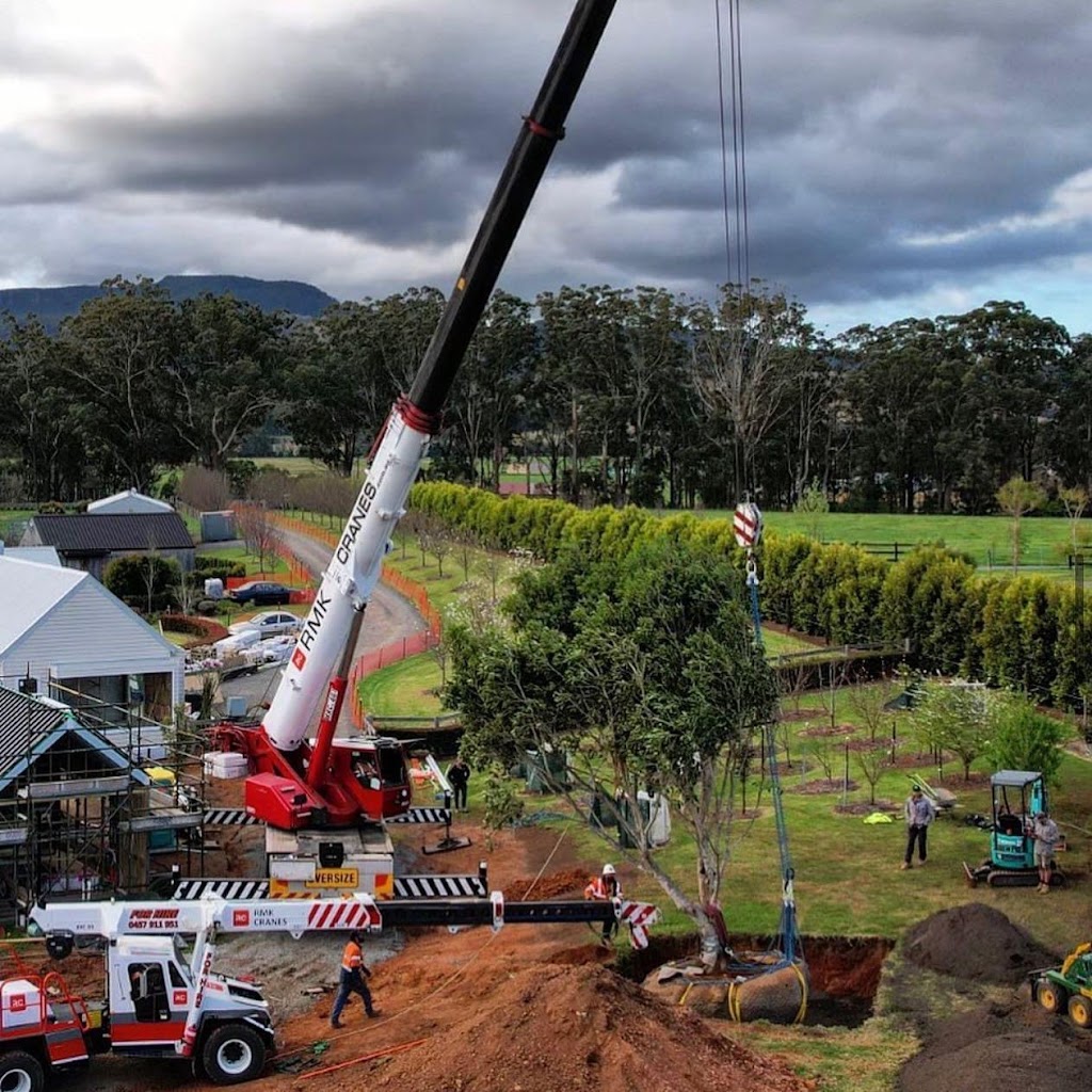 RMK Cranes Pty Ltd | 66 W Dapto Rd, Kembla Grange NSW 2526, Australia | Phone: 0474 006 040