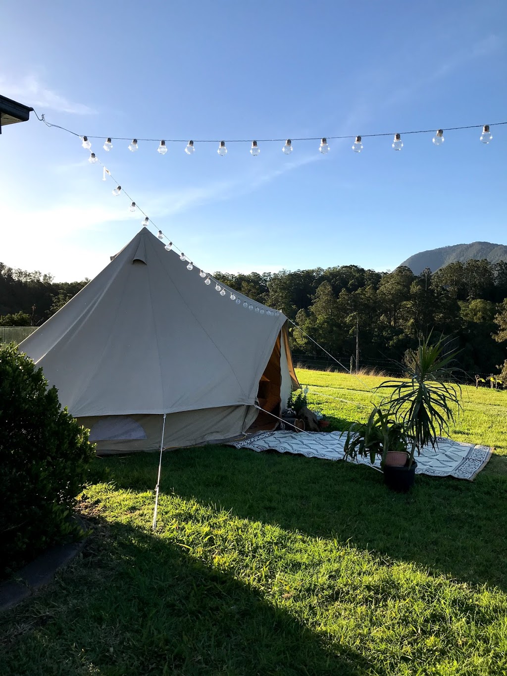 Scenic Picnics | 48 Hutchinson Rd, Nimbin NSW 2480, Australia | Phone: 0418 653 684