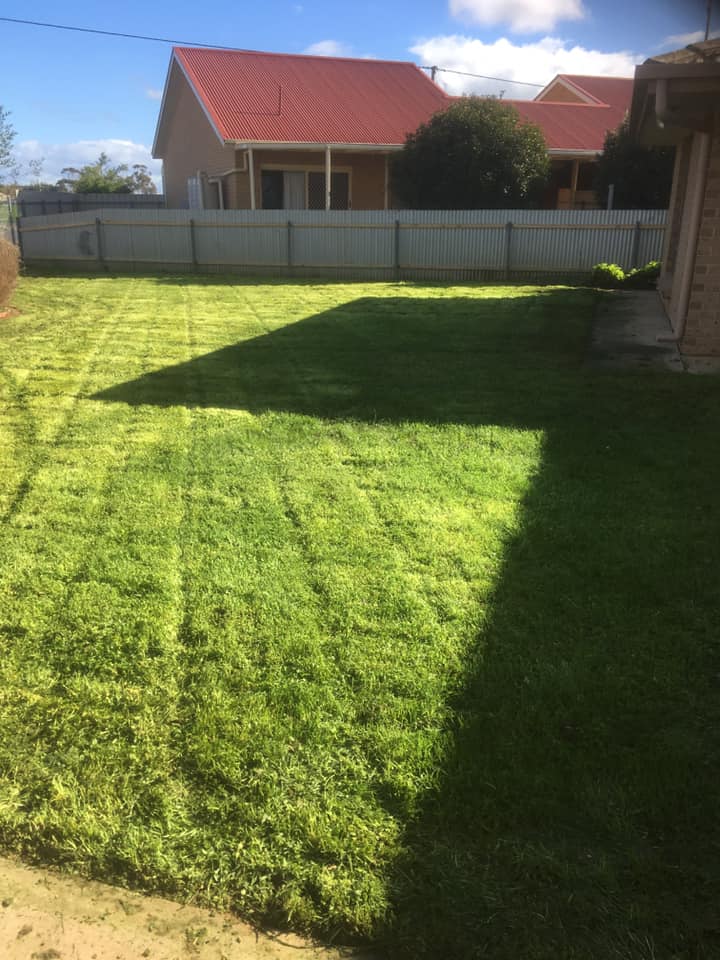 Mow, Hoe & Blow | 10 Higham Ave, Balaklava SA 5461, Australia | Phone: 0438 181 921