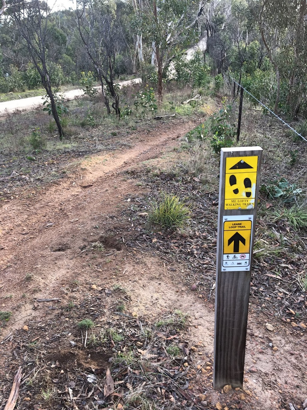 Mount Gawler Native Forest Reserve | Mount Gawler Rd, Kersbrook SA 5231, Australia | Phone: (08) 8724 2888