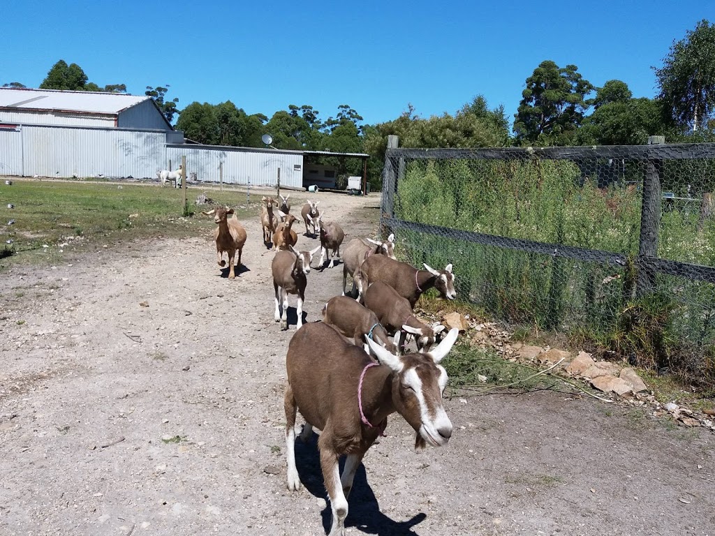 Waygara Farm Tours | 248 Waygara Rd, Waygara VIC 3888, Australia | Phone: (03) 5154 3145