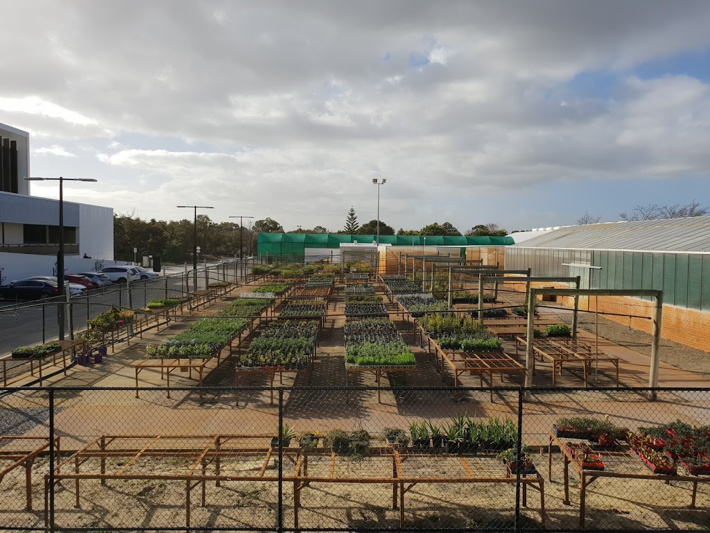 Murdoch Student Garden Centre | 130 Murdoch Dr, Murdoch WA 6150, Australia | Phone: (08) 9229 8449