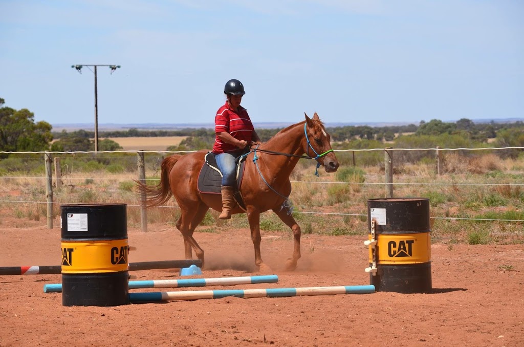 RUSTY’S RIDING RETREAT | 97 Three Chain Rd, Sanderston SA 5237, Australia | Phone: 0439 581 124