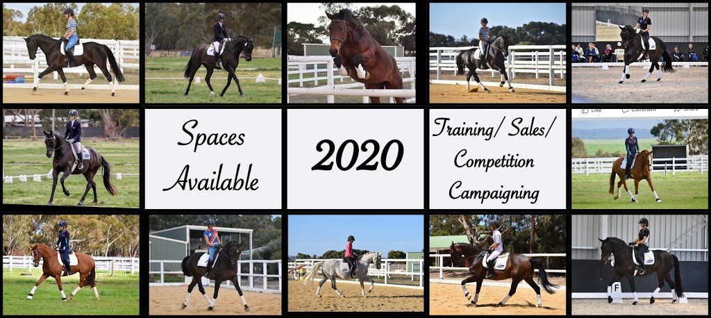 Finniss Dressage Stables | travel agency | 45 Main Rd, Finniss SA 5255, Australia | 0400718963 OR +61 400 718 963