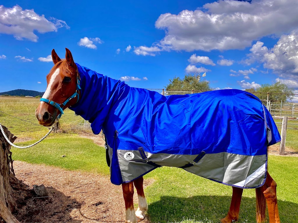 Oatis and Honey - Horse Rugs | 523 Toowoomba Karara Rd, Wyreema QLD 4352, Australia | Phone: 0416 012 208