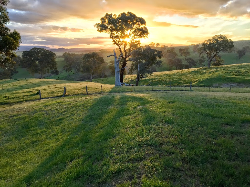 VP Alpine Club | lodging | 283 Buttercup Rd, Merrijig VIC 3723, Australia | 0400345390 OR +61 400 345 390