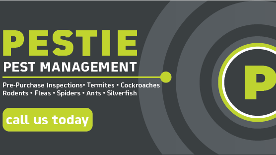 Pestie Pest Management | 13 Vector Pl, Little Mountain QLD 4551, Australia | Phone: 0459 597 792