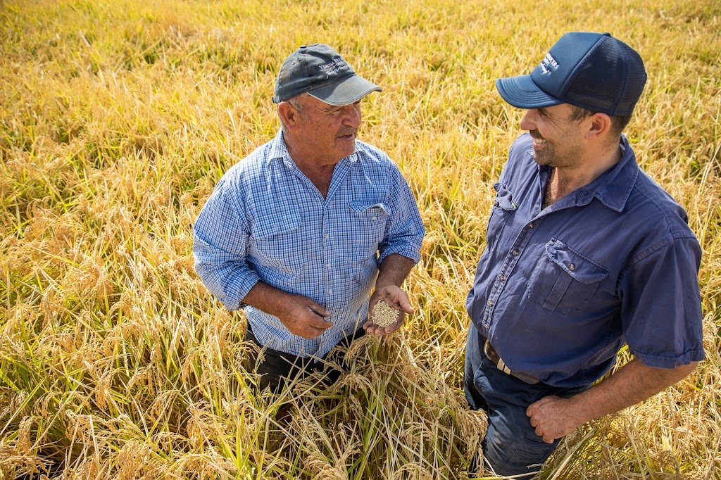 Rice Extension | 1850 Conargo Rd, Jerilderie NSW 2716, Australia | Phone: 0419 174 772