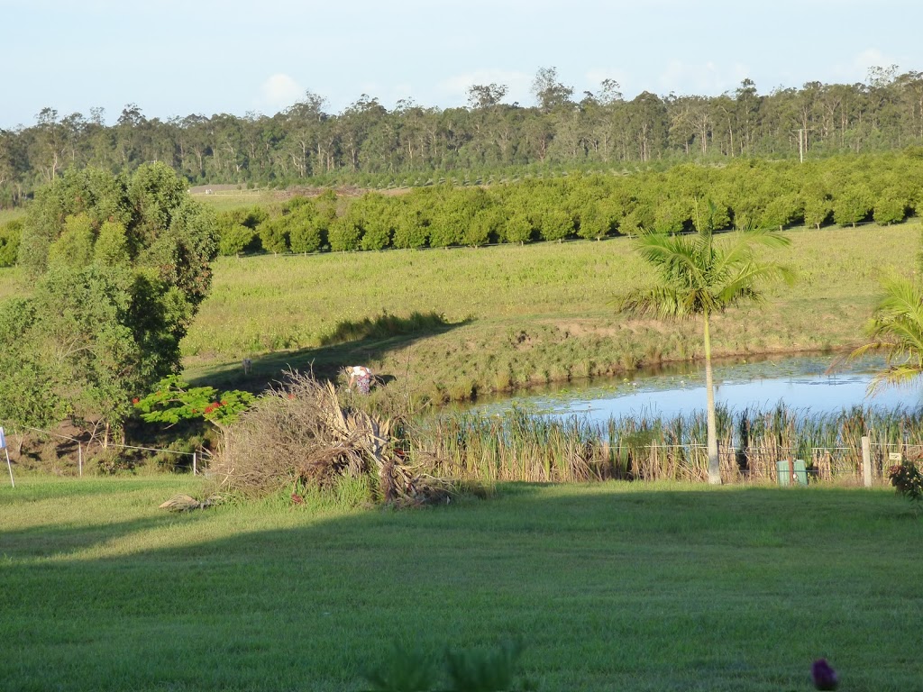 Waila Macadamias farm |  | 328 Mororo Rd, Mororo NSW 2469, Australia | 0416281248 OR +61 416 281 248