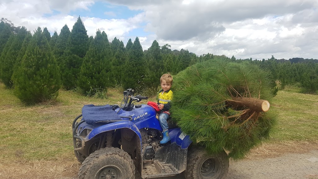 Ports Christmas Tree Farm | 186 Belgrave-Hallam Rd, Belgrave South VIC 3160, Australia | Phone: 0422 263 198