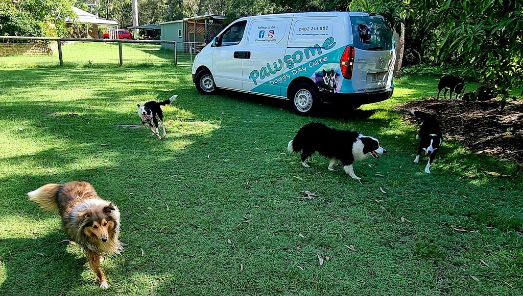 Pawsome Doggy Care | Esplanade, Lota QLD 4179, Australia | Phone: 0402 241 882