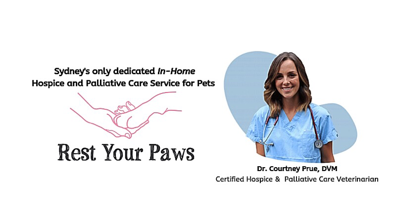 Rest Your Paws | veterinary care | 44 Ocean St, Woollahra NSW 2025, Australia | 0422157675 OR +61 422 157 675