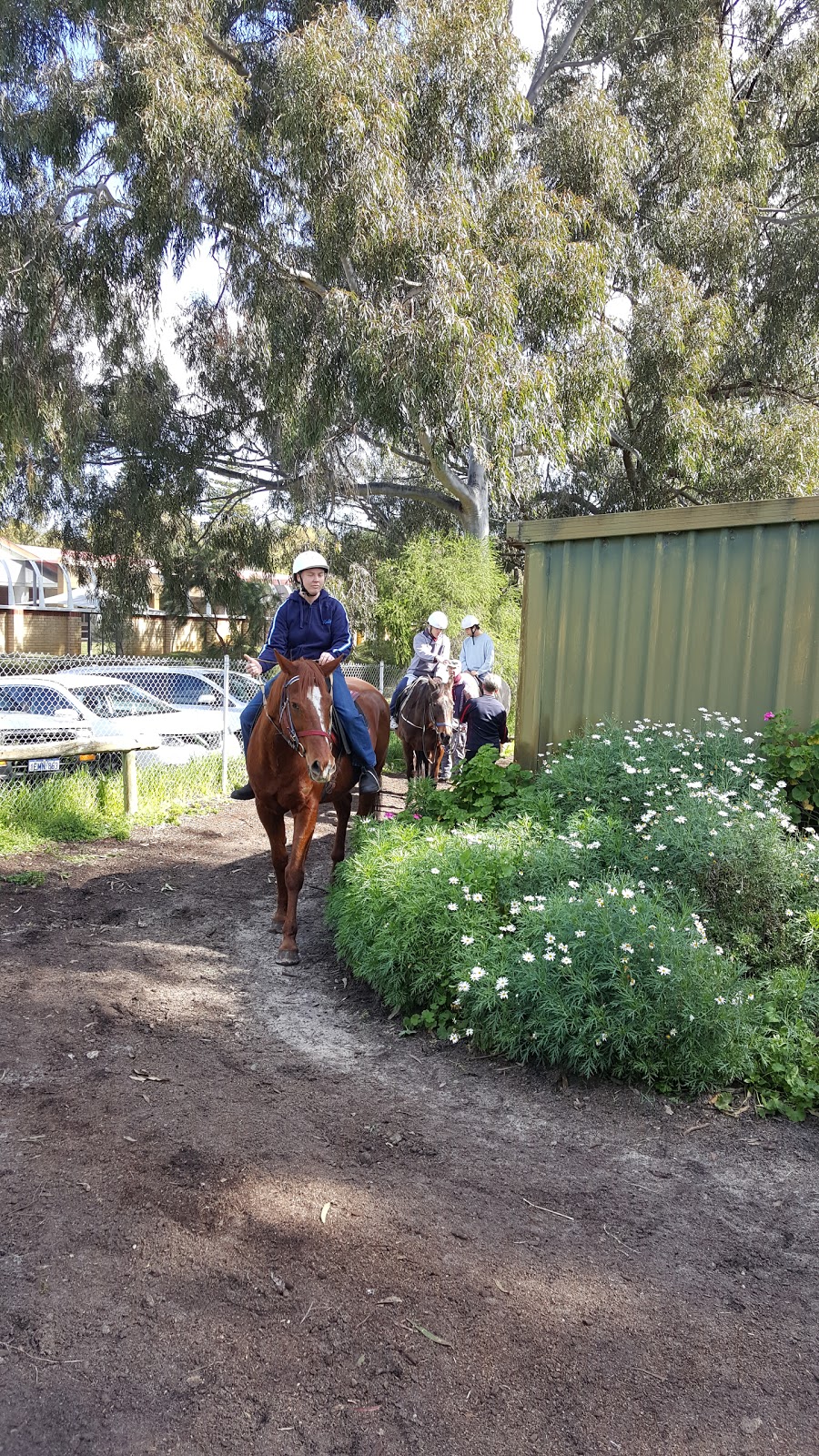 Claremont Therapeutic Riding Centre | travel agency | Brockway Rd, Mount Claremont WA 6010, Australia | 0893843492 OR +61 8 9384 3492