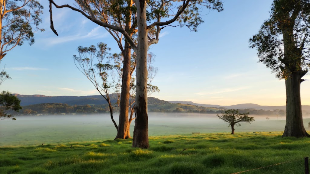 DC TREE CARE | Far Meadow NSW 2535, Australia | Phone: 0423 903 946