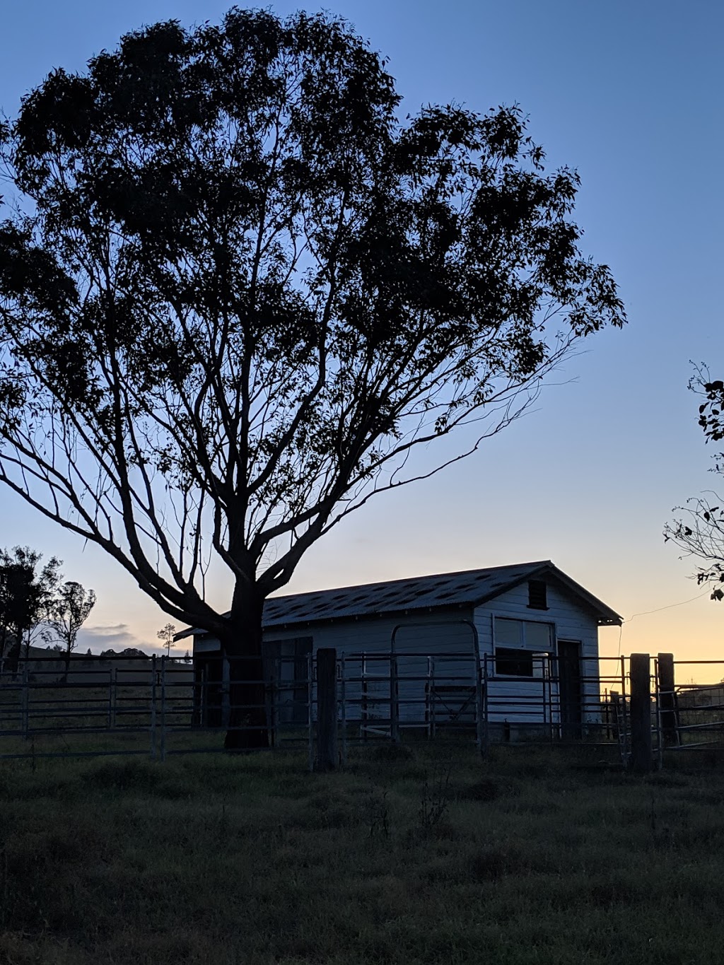 Ironbark Estate | lodging | 202 Bundook Rd, Tugrabakh NSW 2422, Australia | 0427589075 OR +61 427 589 075