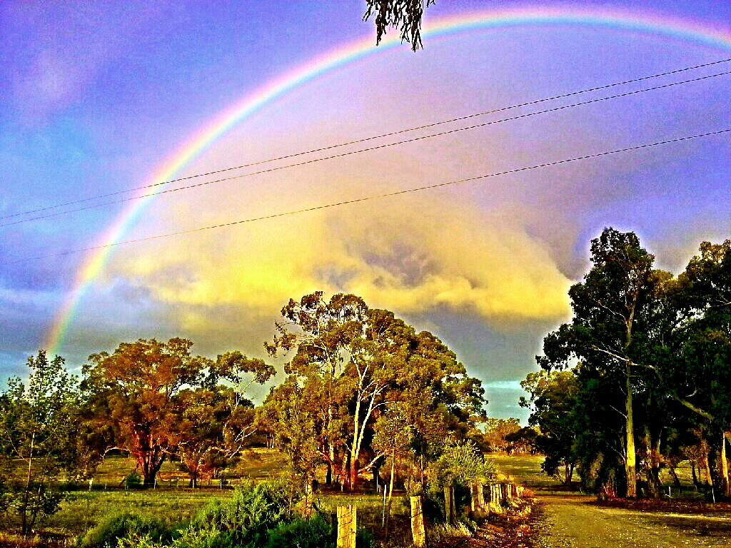 Hard Hill Farm | 21 Claypit Rd, Strangways VIC 3461, Australia | Phone: 0438 664 722