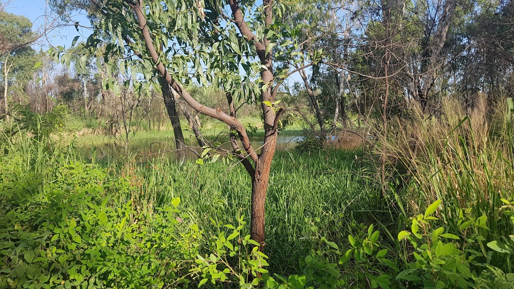 Freshwater bird hide | Town Common QLD 4810, Australia