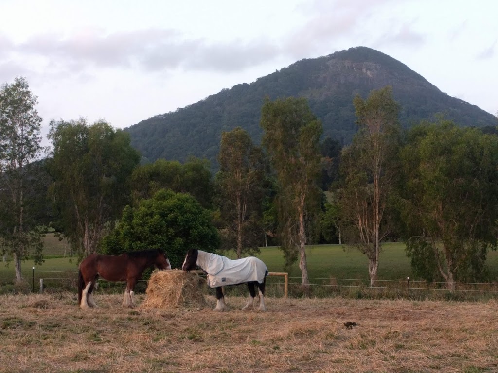 Yarrandoo Horse Agistment | 182 Lone Hand Rd, Eumundi QLD 4562, Australia | Phone: 0411 861 956