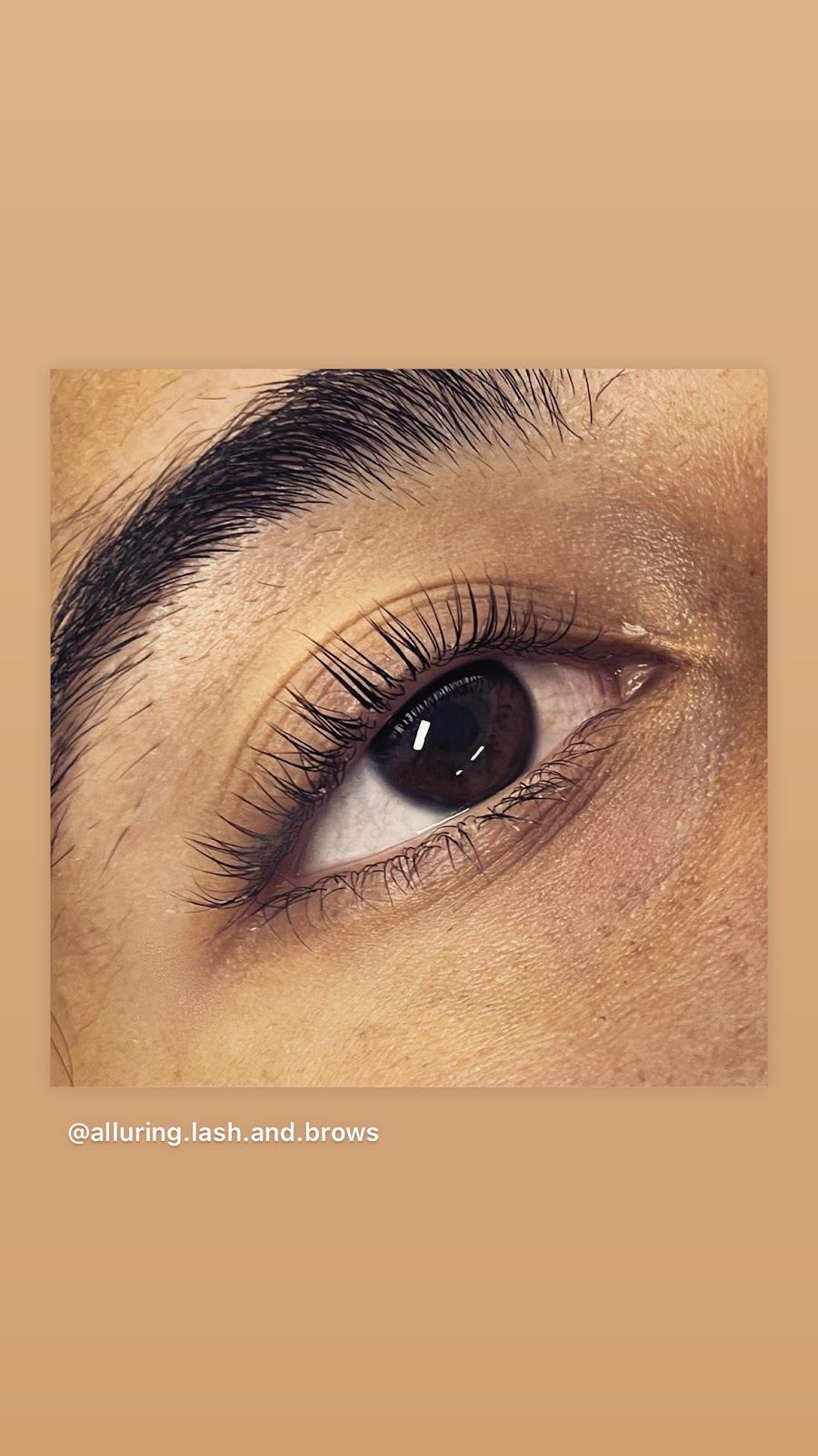 Alluring Lash and Brows | 5 Burns St, Gol Gol NSW 2738, Australia | Phone: 0456 484 996