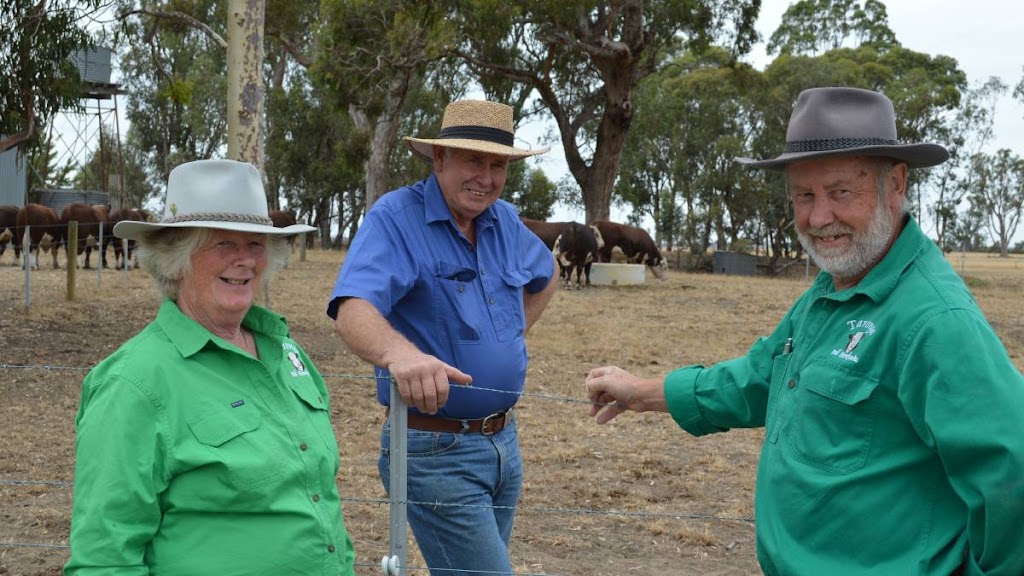 Taronga Poll Herefords |  | 272 Paschendale-Tahara Rd, Paschendale VIC 3315, Australia | 0466015178 OR +61 466 015 178