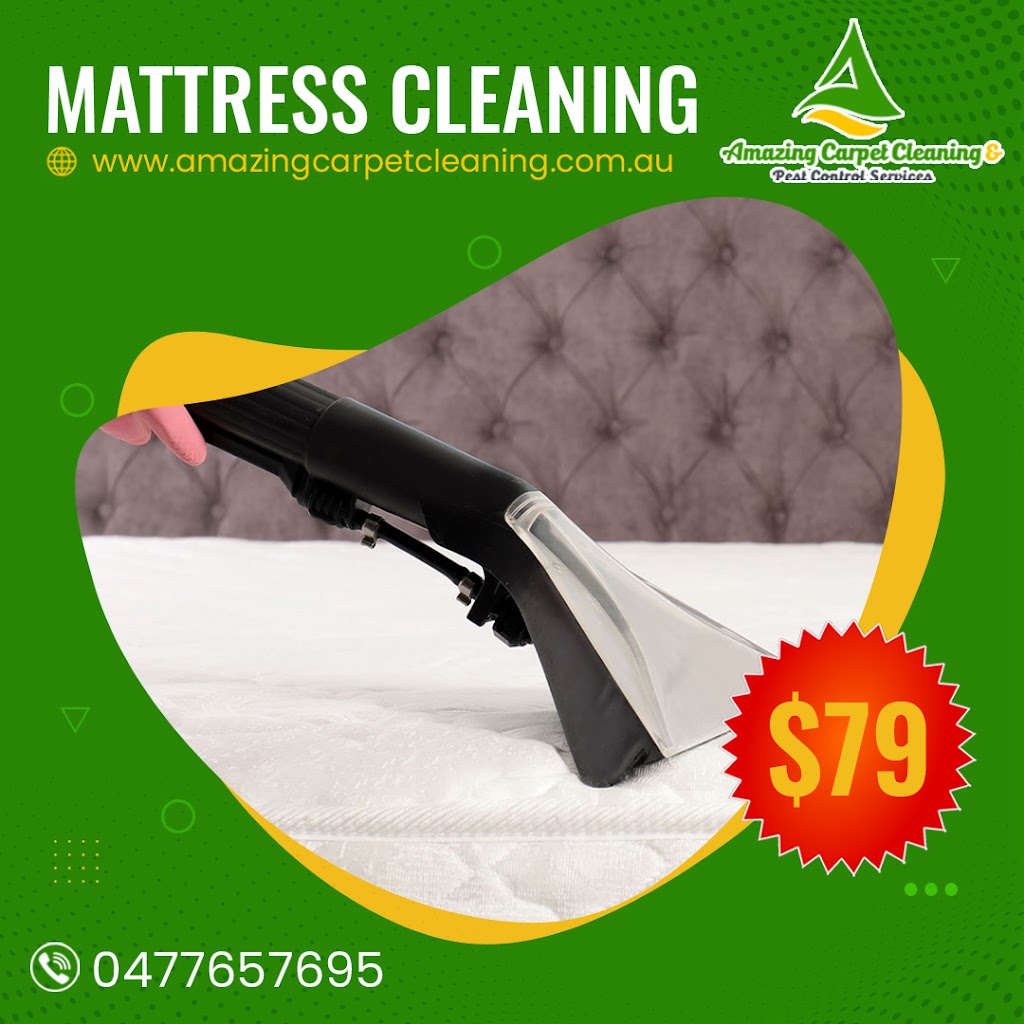 Amazing Carpet Cleaning & Pest Control Services | Rapanea St, Moggill QLD 4070, Australia | Phone: 0477 657 695
