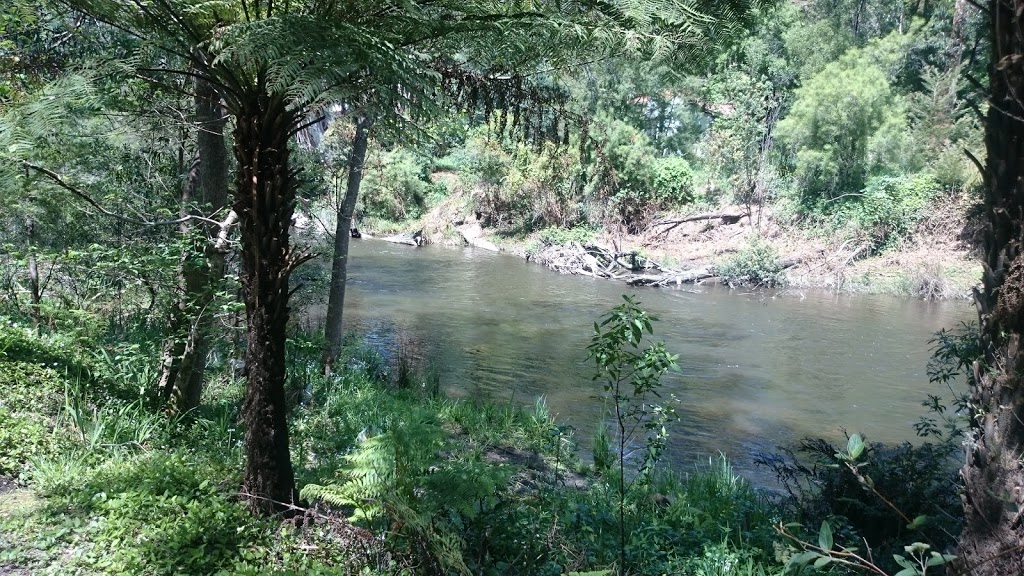 Yarra River Walk | Dammans Rd, Warburton VIC 3799, Australia | Phone: (03) 5962 2600