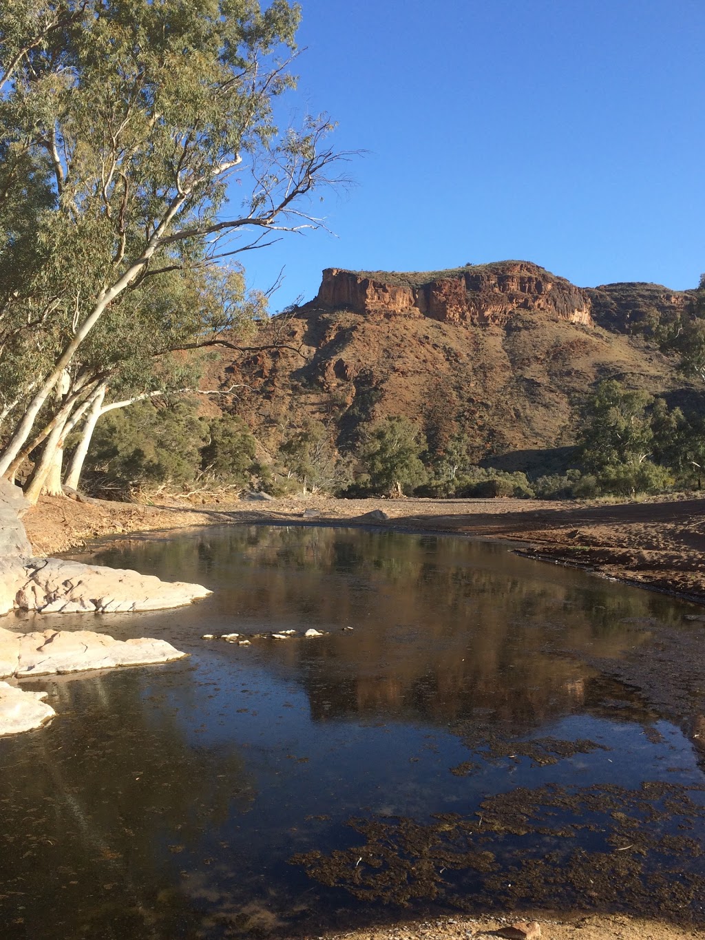 Wallaby Tracks Adventure Tours | 6 Railway Terrace, Quorn SA 5433, Australia | Phone: (08) 8648 6655