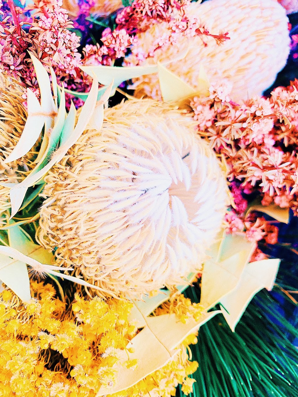 The Fruit Basket | florist | 76 Cranford Ave, Mount Pleasant WA 6153, Australia | 0893643417 OR +61 8 9364 3417