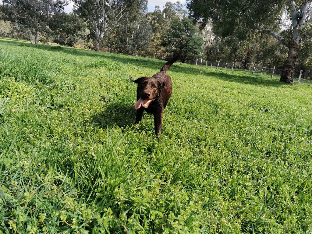 Banyule Flats Dog Run | Viewbank VIC 3084, Australia