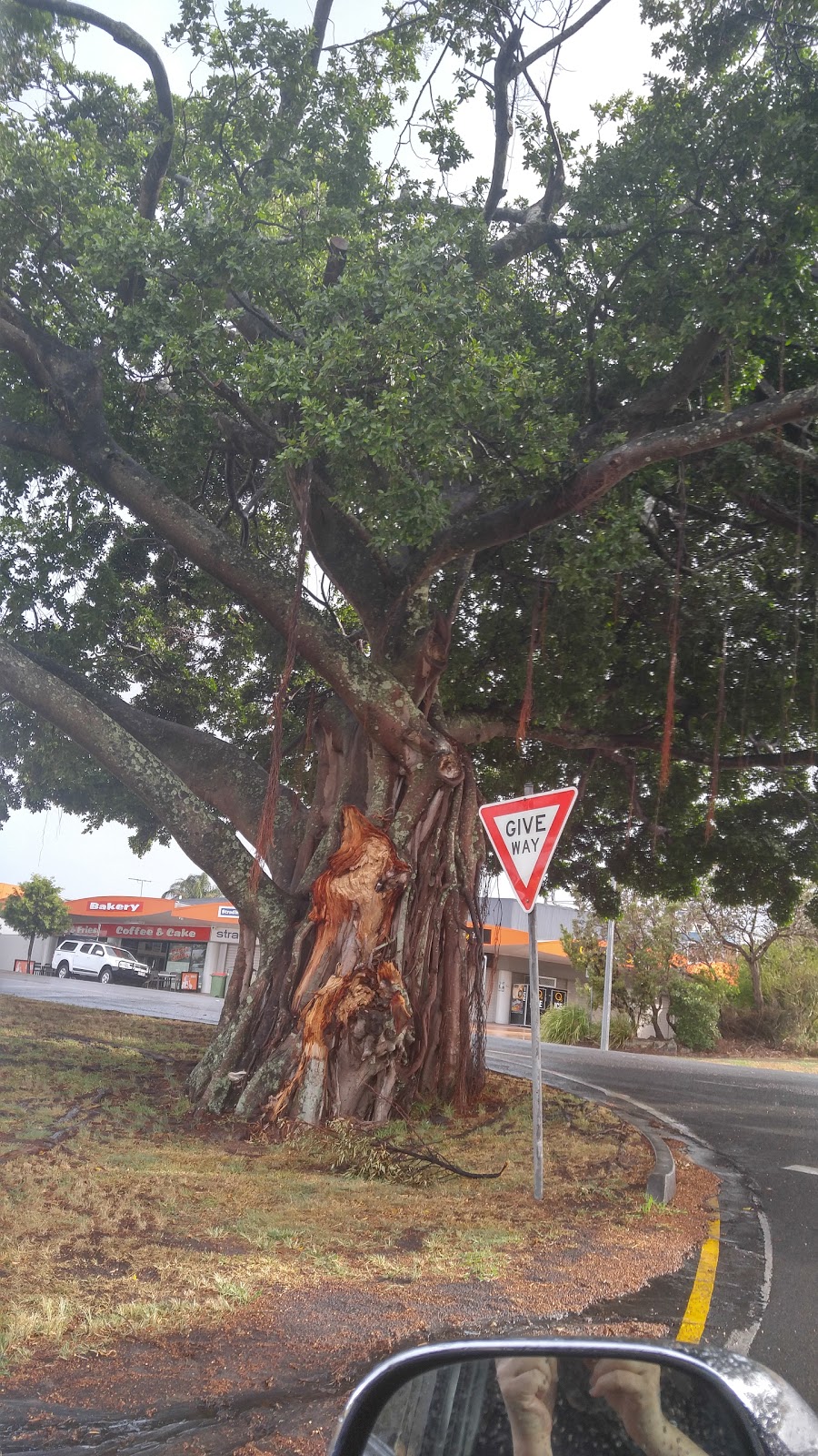 Straddie Island Bakery | 11 Ballow Rd, Dunwich QLD 4183, Australia